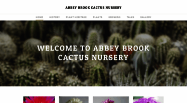 abbeybrookcacti.com