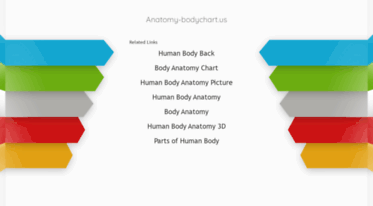anatomy-bodychart.us