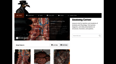 anatomycorner.com