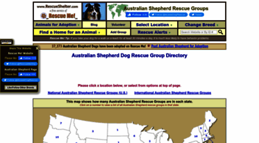 australianshepherd.rescueshelter.com