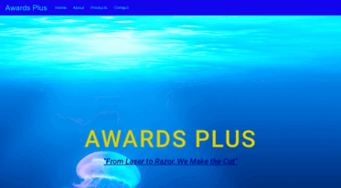 awardsplusnow.com