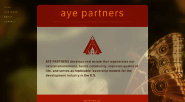 ayepartners.squarespace.com