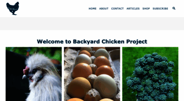 backyardchickenproject.com