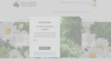 bamboodownunder.com.au