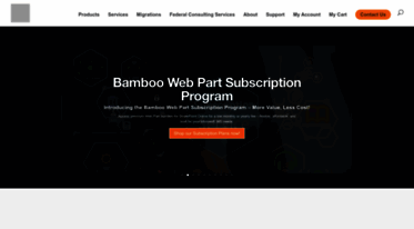 bamboosolutions.com