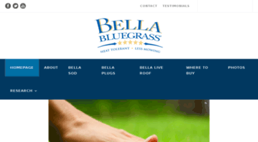 bella-bluegrass.sodwebdev.com