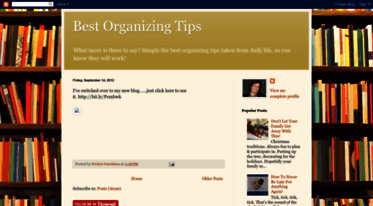 bestorganizingtips.blogspot.com