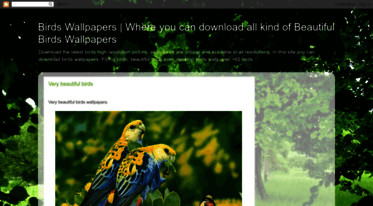 birds-walpaper.blogspot.com