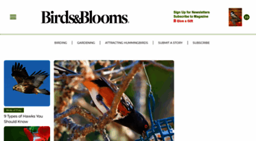 birdsandblooms.com