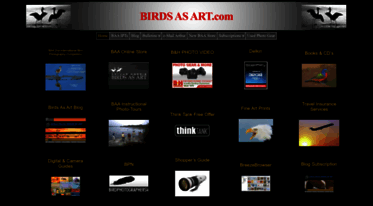 birdsasart.com
