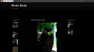 birdsbeak.blogspot.com
