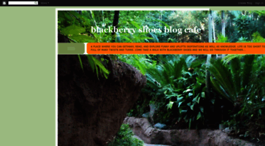blackberryshoes.blogspot.com