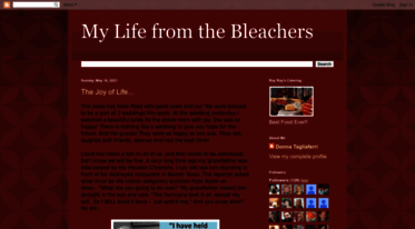 bleachervision.blogspot.com
