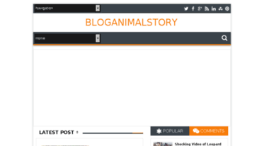 bloganimalstory.blogspot.com