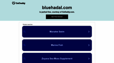 bluehadal.com