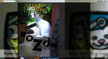 bozoncat.blogspot.com