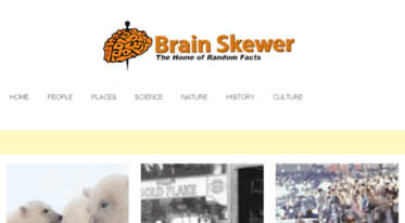 brainskewer.com