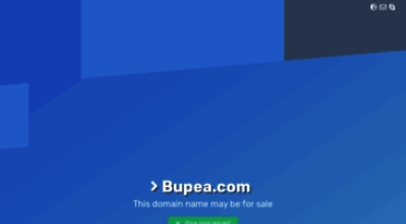 bupea.com