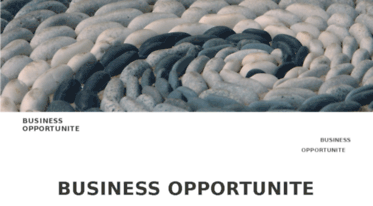 businessopportunite.com