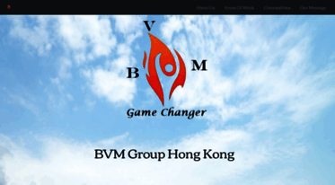 bvmgroup.org