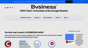 bvsiness.com