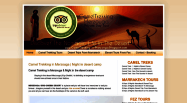 cameltrekking-in-merzouga.blogspot.com