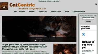 catcentric.org