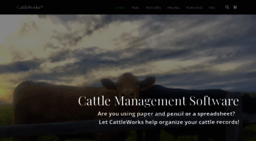cattleworks.com