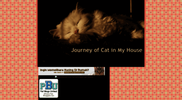 catzinmyhouse.blogspot.com