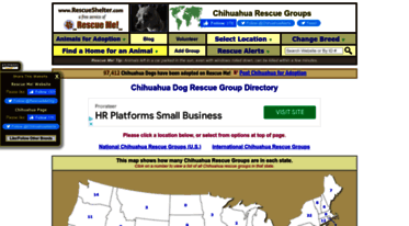 chihuahua.rescueshelter.com