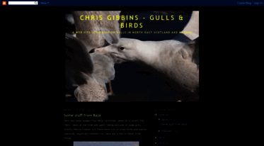 chrisgibbins-gullsbirds.blogspot.com
