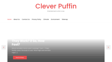 cleverpuffin.com