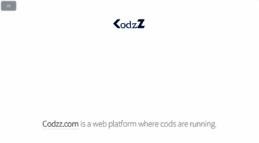 codzz.com