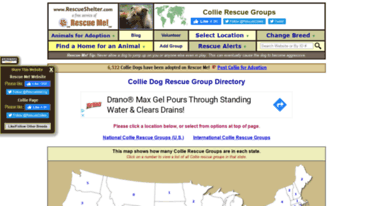 collie.rescueshelter.com