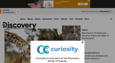 curiosity.com
