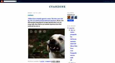 cyanzone.blogspot.com