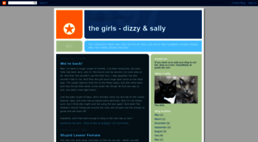 dizzynsally.blogspot.com