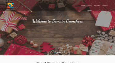 domaincrunchers.com