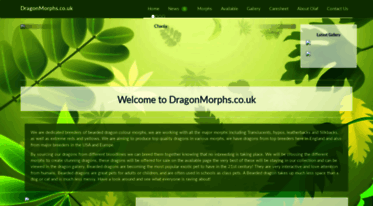 dragonmorphs.co.uk