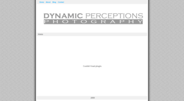 dynamicperceptions.com