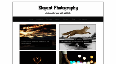 elegant-photography-theme.blogspot.com