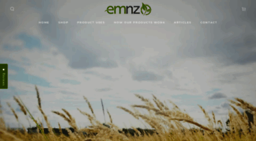 emnz.com
