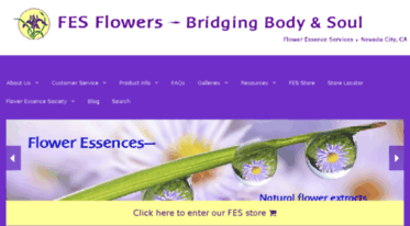 fesflowers.com