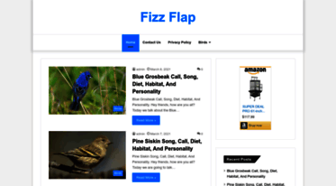 fizzflap.com