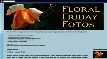 floralfridayfoto.blogspot.com