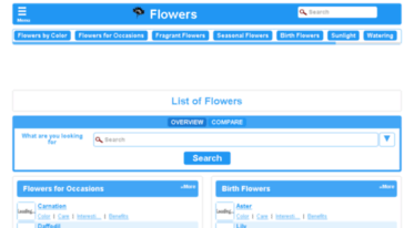 flowervs.com