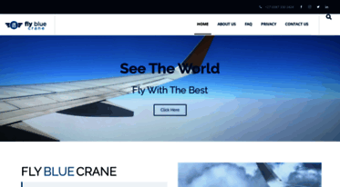 flybluecrane.com