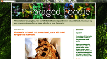 foragedfoodie.blogspot.com
