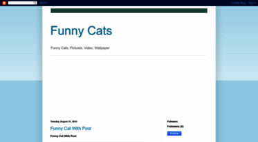funny-cats2.blogspot.com