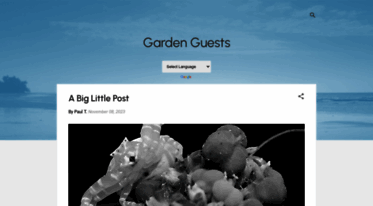 gardenguests.blogspot.com